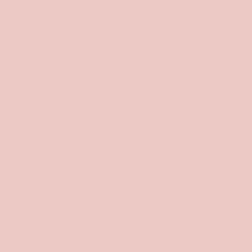 Art Gallery Fabrics Pure Solids PINKS