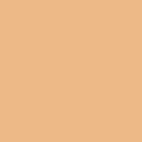 Art Gallery Fabrics Pure Solids ORANGES