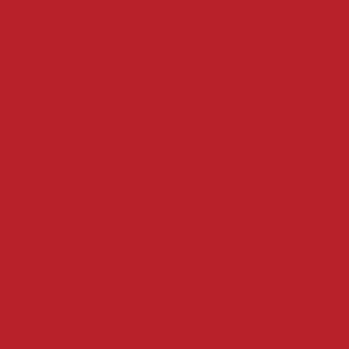 Art Gallery Fabrics Pure Solids REDS
