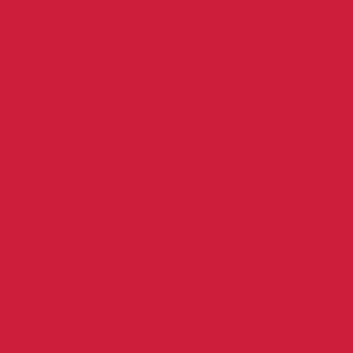 Art Gallery Fabrics Pure Solids REDS